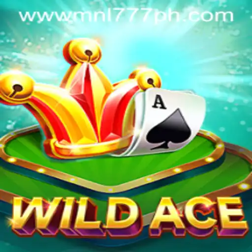 Discovering WildAce: An Exciting Journey into the World of Gaming
